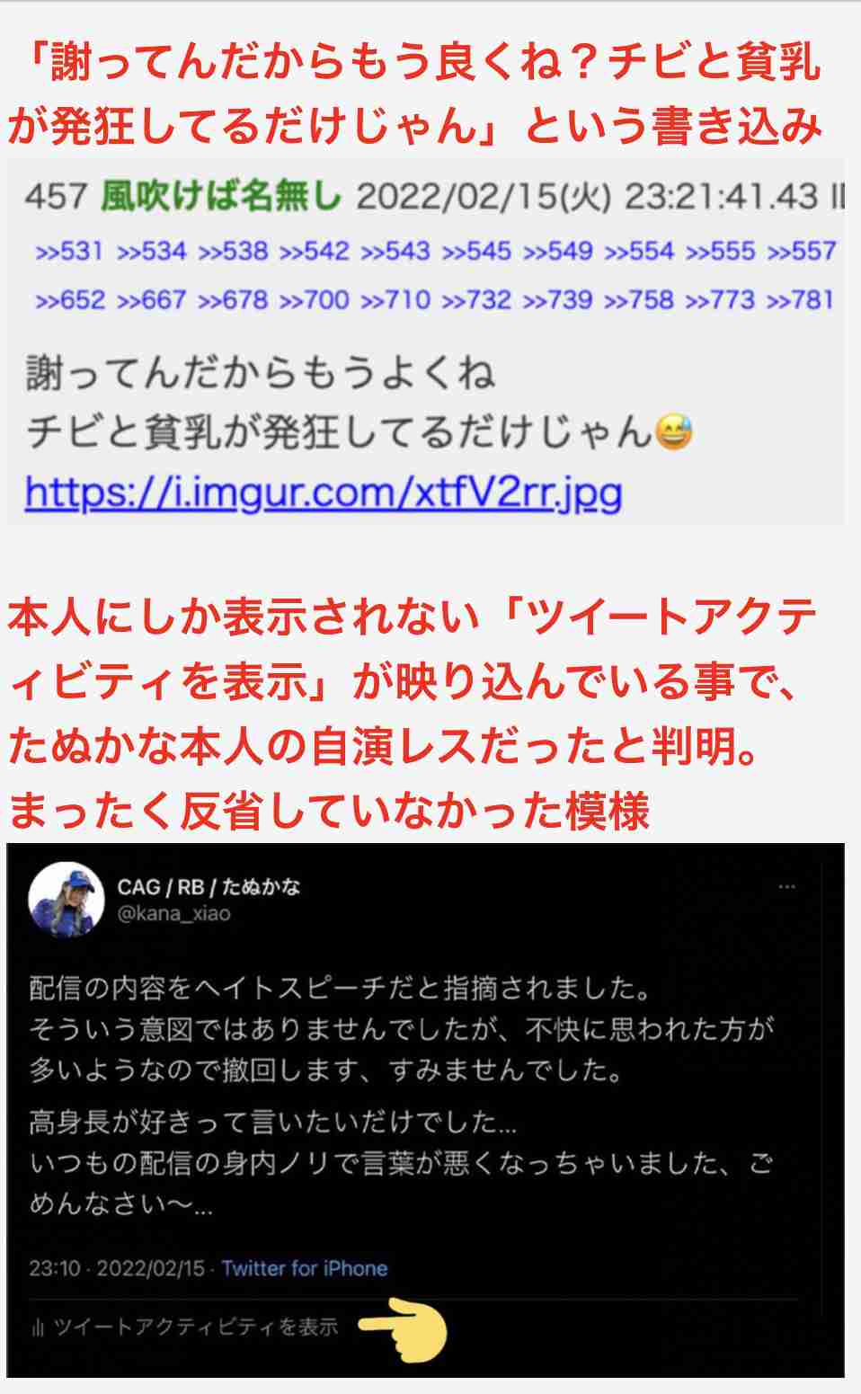 プロゲーマーたぬかなの〝問題発言〟を所属チームが謝罪 レッドブルは公式サイトから削除