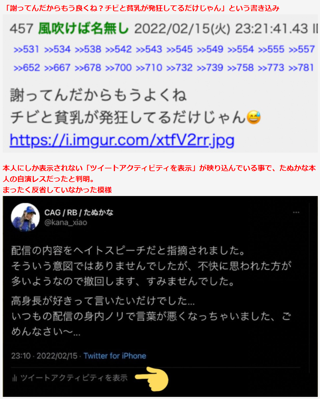 プロゲーマーたぬかなの〝問題発言〟を所属チームが謝罪 レッドブルは公式サイトから削除