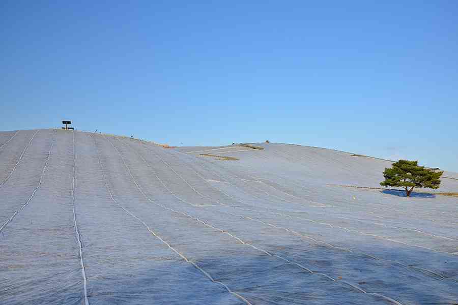 茨城県について語りたい