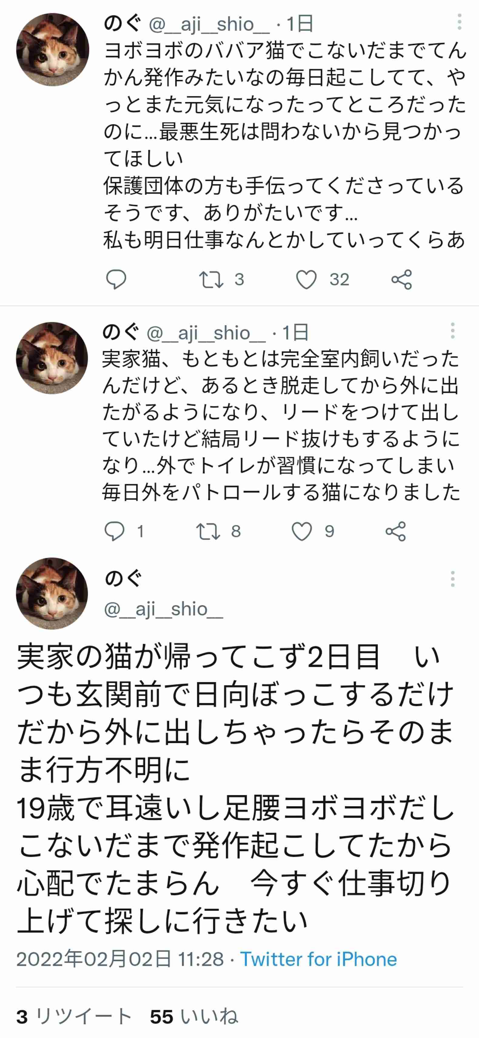 八王子署、預かった迷い猫を「河川敷に放した」　保健所に連絡しないまま　飼い主ら「高齢、凍死の恐れも」
