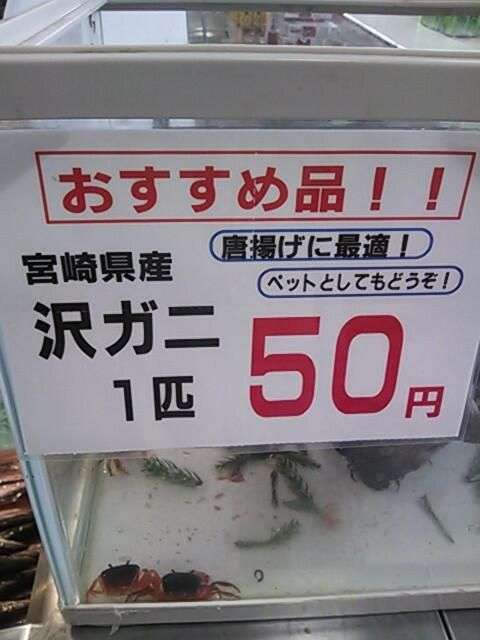 面白い誤字・誤植を貼ってコロナの憂鬱を吹き飛ばすトピpart6