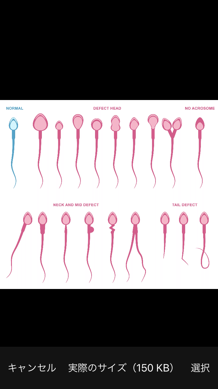 貴方が思う顔面国宝は!?