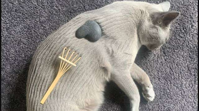 家の敷地内に勝手に入って来られた経験がある人