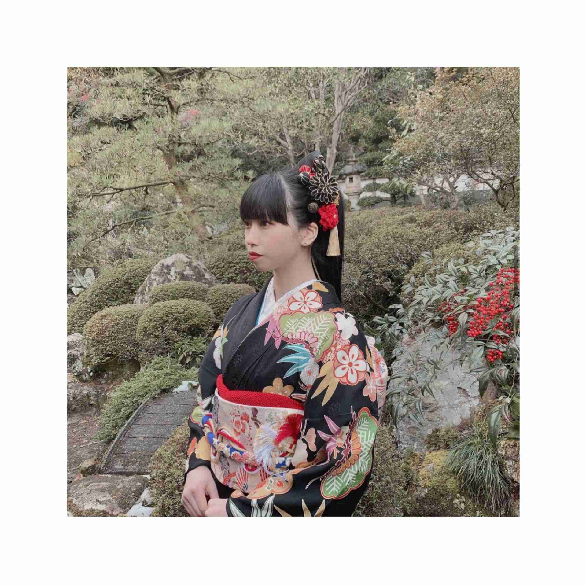 綺麗な着物が見たい