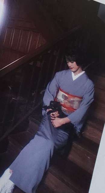 綺麗な着物が見たい