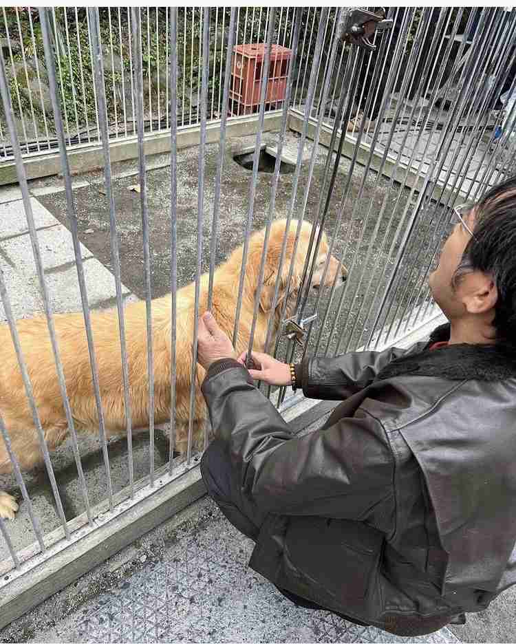 【実況・感想】逃亡医Ｆ#4