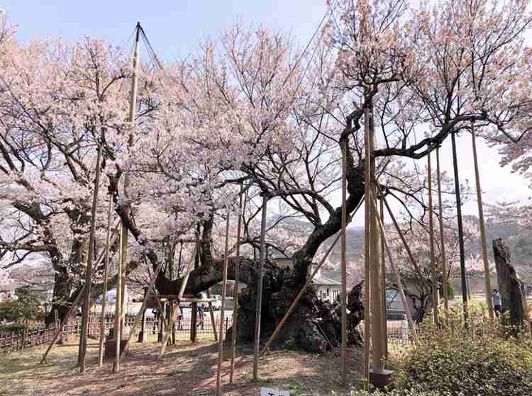 神社仏閣に行って嬉しかった事、腹たったこと