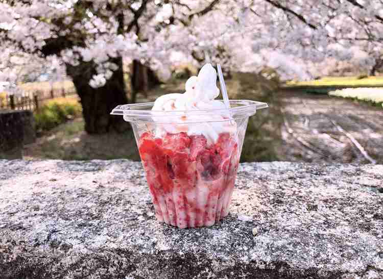 神社仏閣に行って嬉しかった事、腹たったこと
