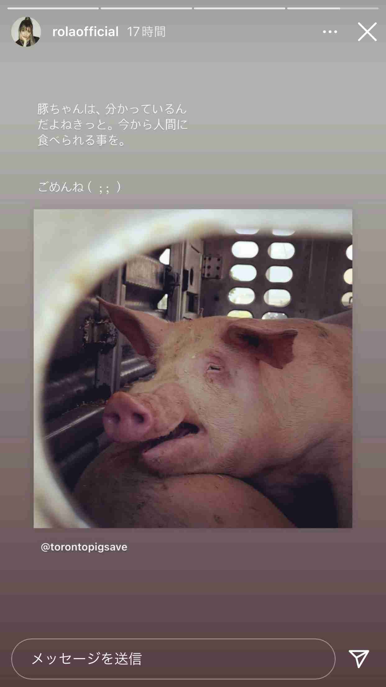 板野友美「ミートフリーデーを作る」と投稿し真意説明「命ある動物のため」「畜産業を否定する訳でもない」