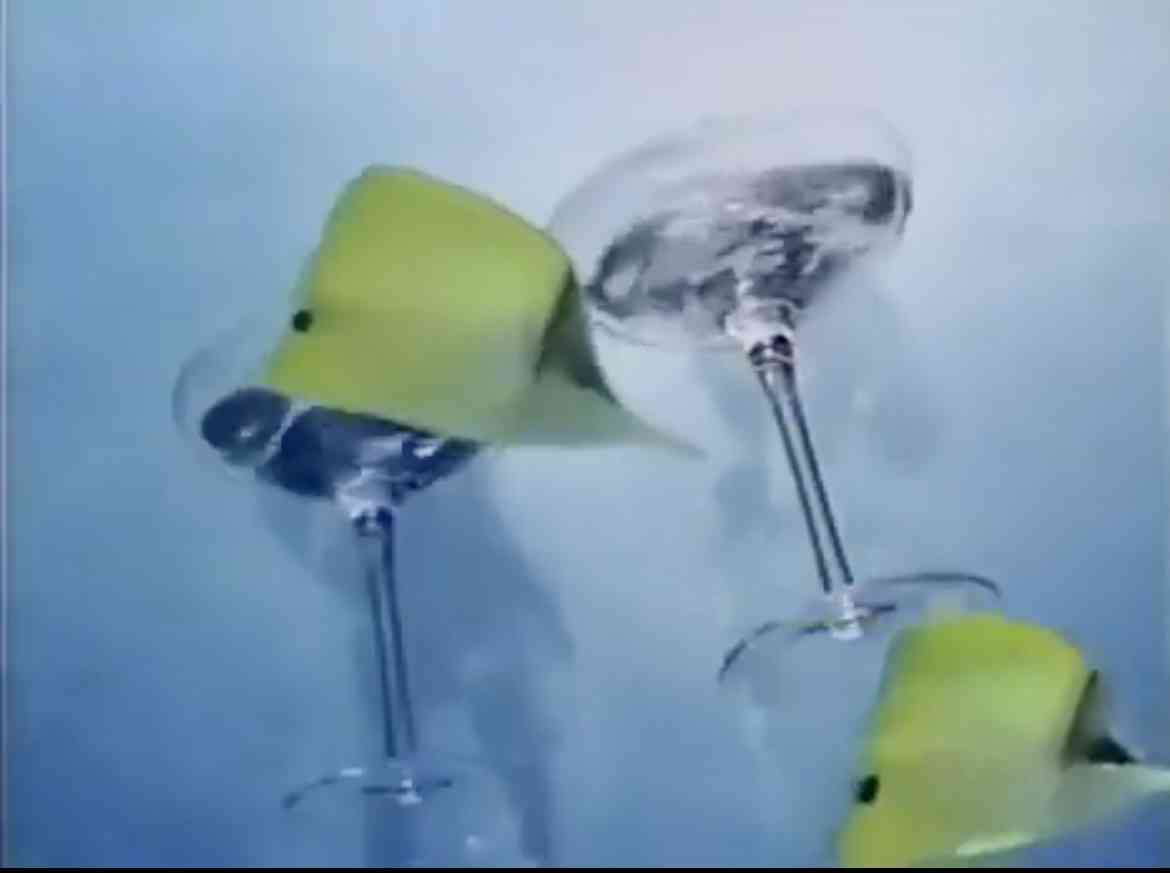 CMのワンシーンを見てなんのCMなのか分かったらプラス