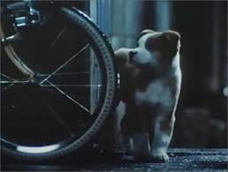 CMのワンシーンを見てなんのCMなのか分かったらプラス