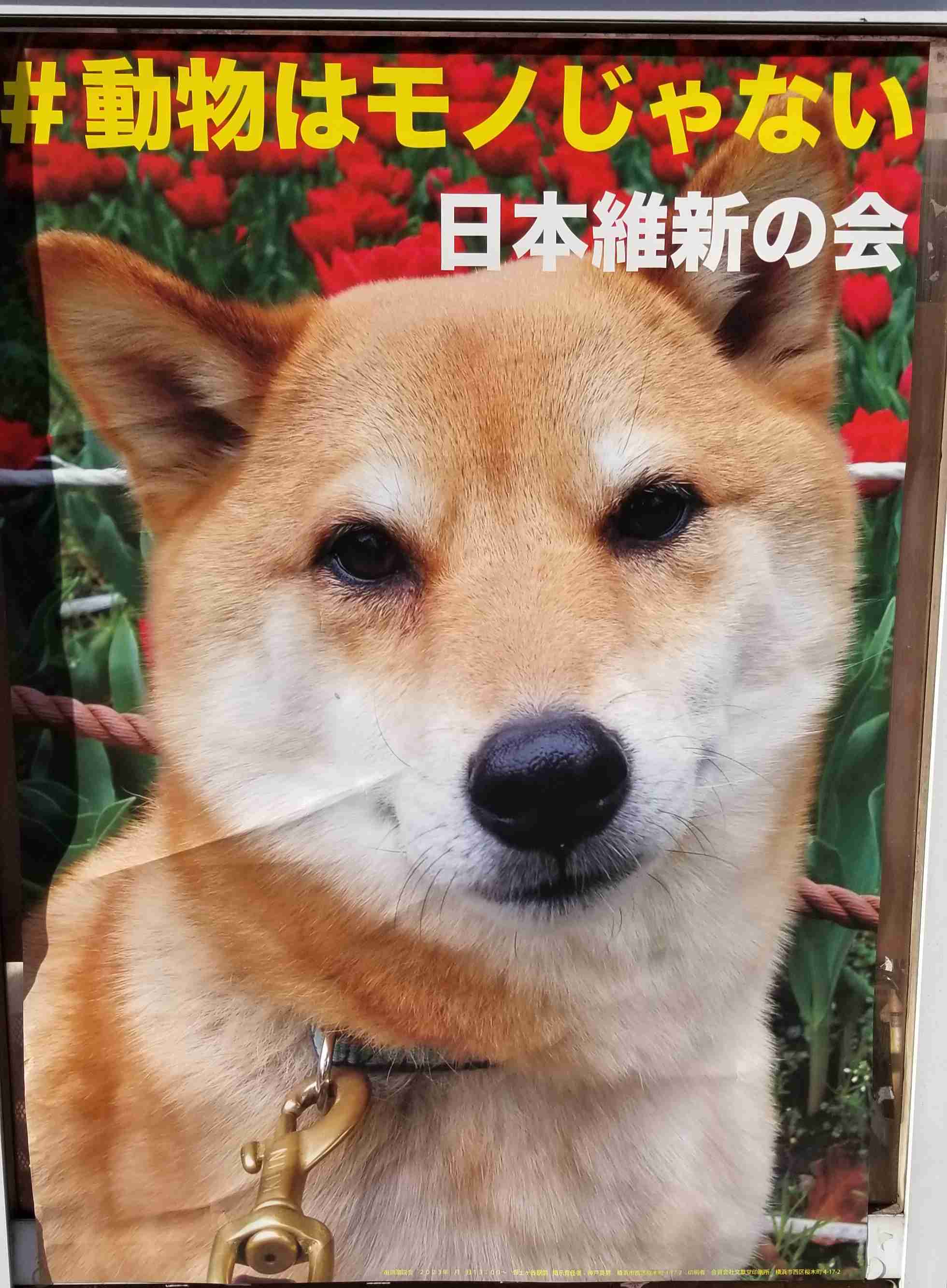 イオンら大手は撤退、劣悪な環境下の“ふれあい”という名の暴力「移動式動物園」虐待の実態