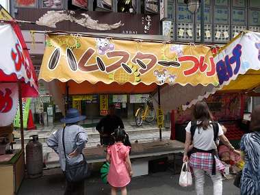 イオンら大手は撤退、劣悪な環境下の“ふれあい”という名の暴力「移動式動物園」虐待の実態