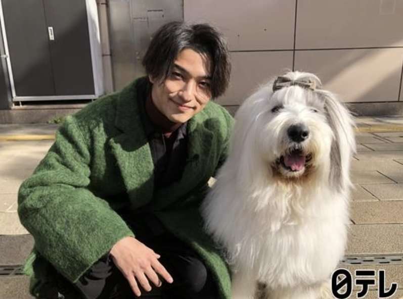 横浜流星、俳優業に悩んだ過去を告白「向いてないんじゃないかと」