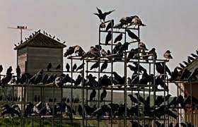 〜80年代迄の好きな映画を語りませんか