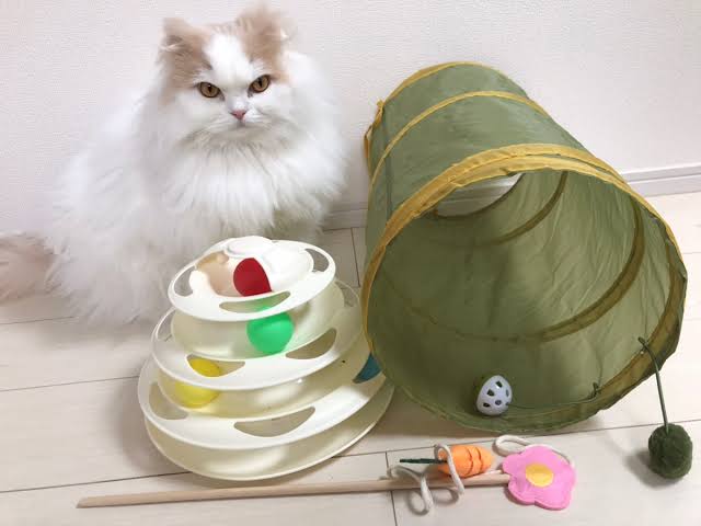【猫を飼っている方限定】買って良かったもの、良くなかったものPart6