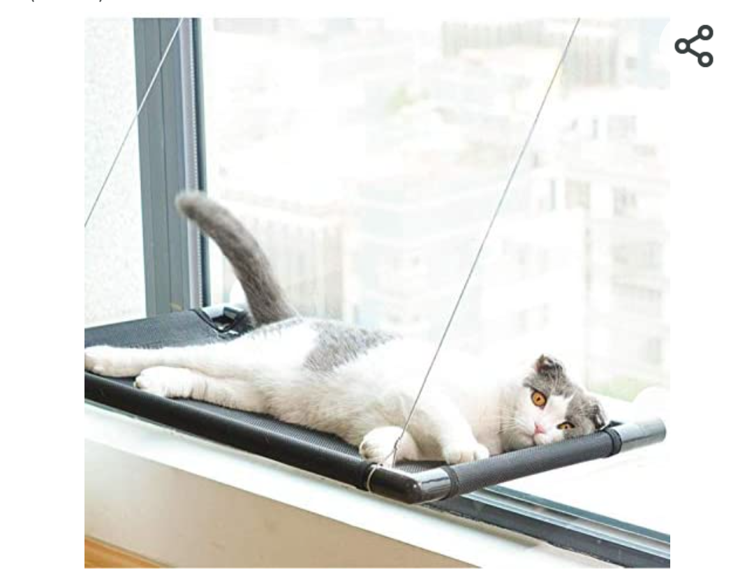 【猫を飼っている方限定】買って良かったもの、良くなかったものPart6