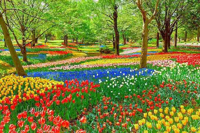 【都内】デートでオススメの場所