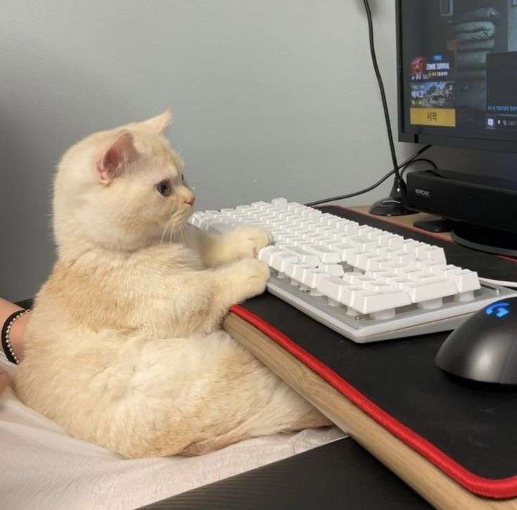 アドバイス求む🆘手芸🧵ハンドメイド✂️