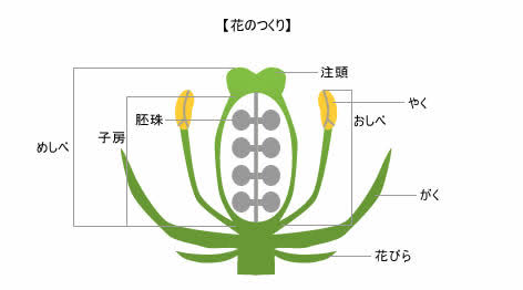 未だに覚えてる学生時代の勉強内容