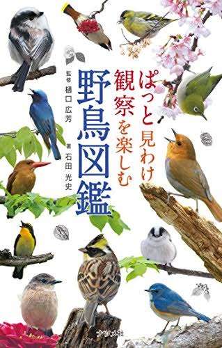 よくみかける野鳥