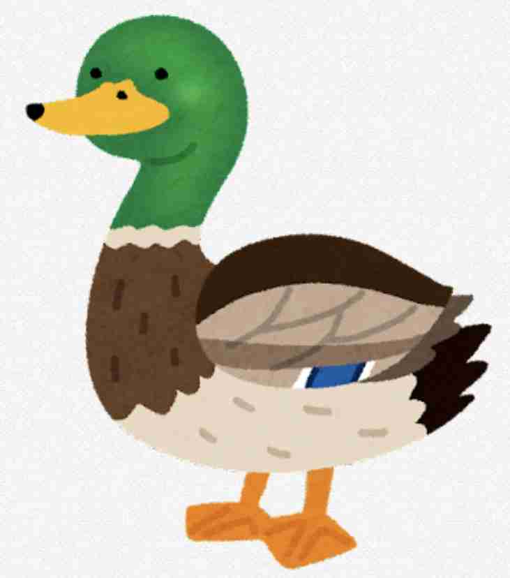 よくみかける野鳥