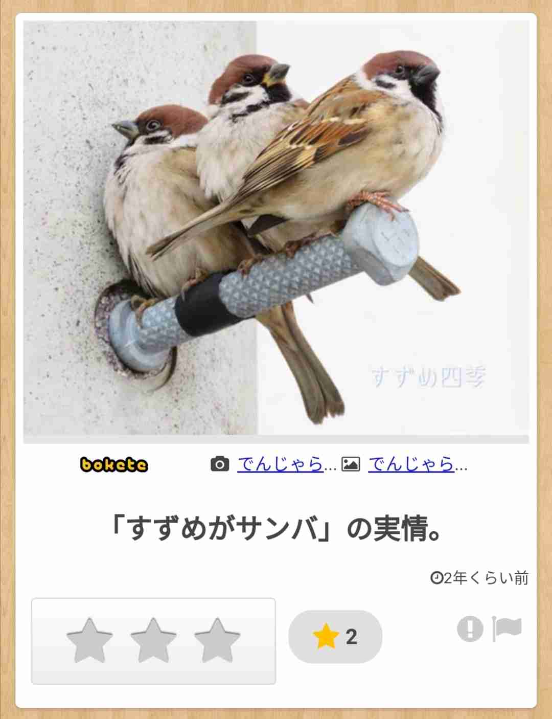 よくみかける野鳥
