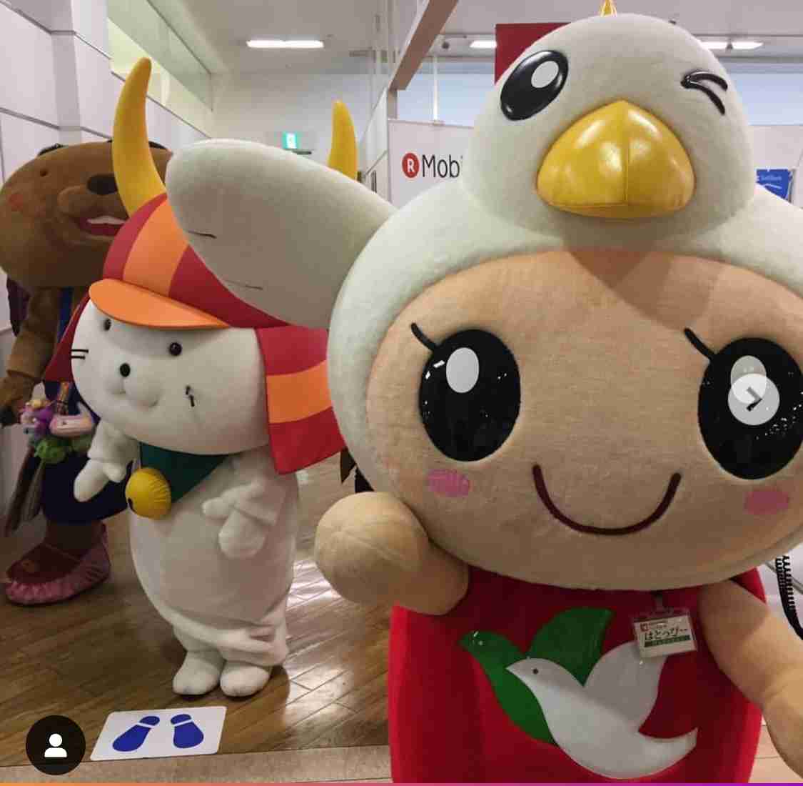 ひこにゃん大好きな人!!