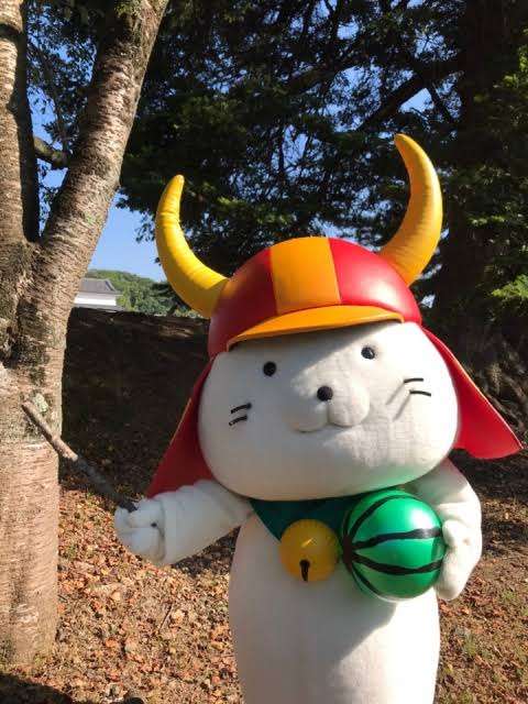 ひこにゃん大好きな人!!