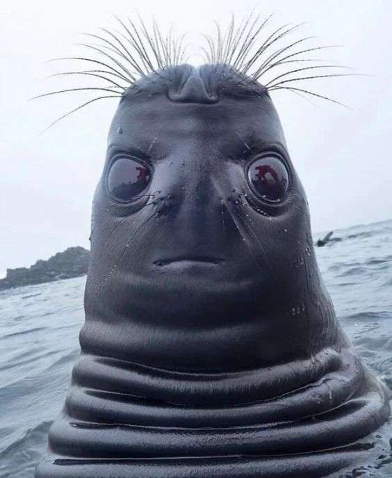 使いたいけど使いどころの無い画像
