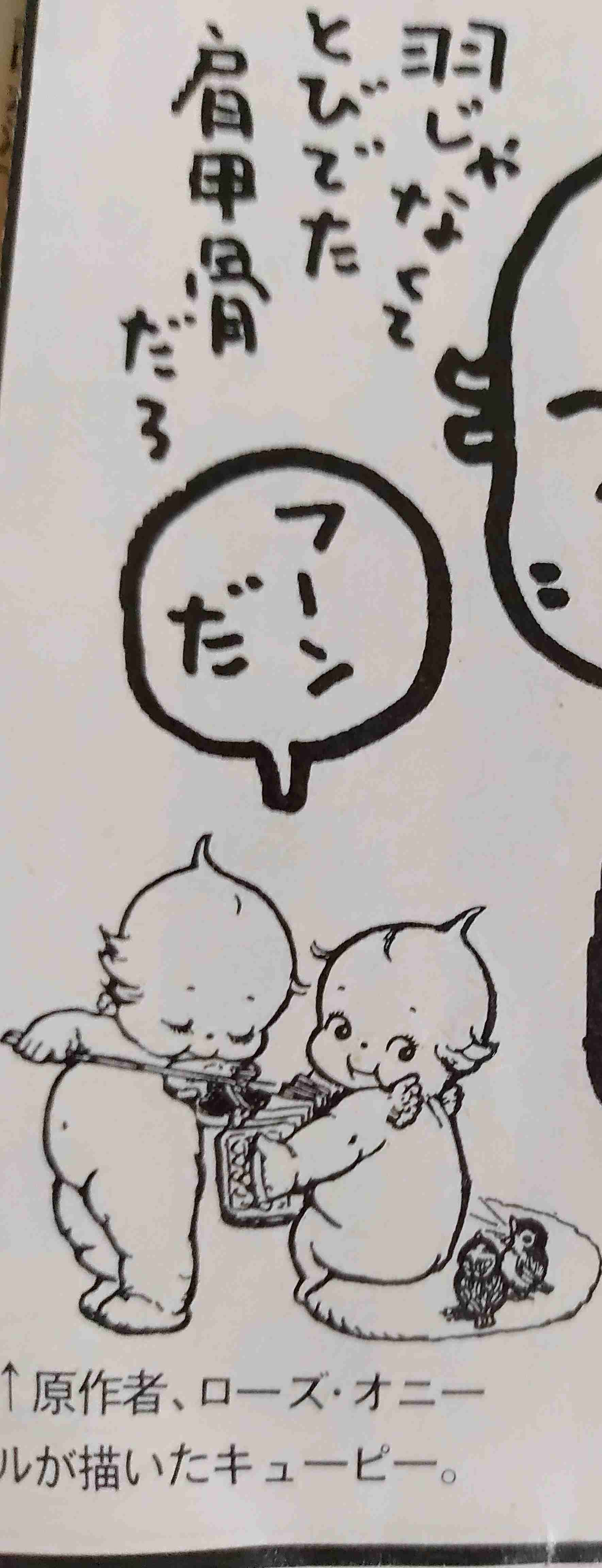 使いたいけど使いどころの無い画像