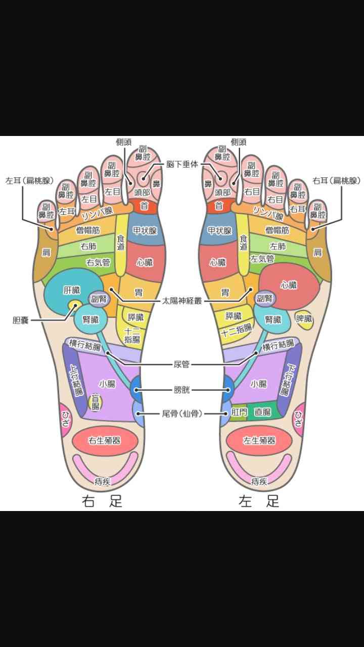 使いたいけど使いどころの無い画像
