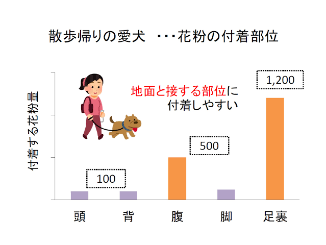 犬や猫も「花粉症」になる？　受診目安や予防策を獣医師に聞く