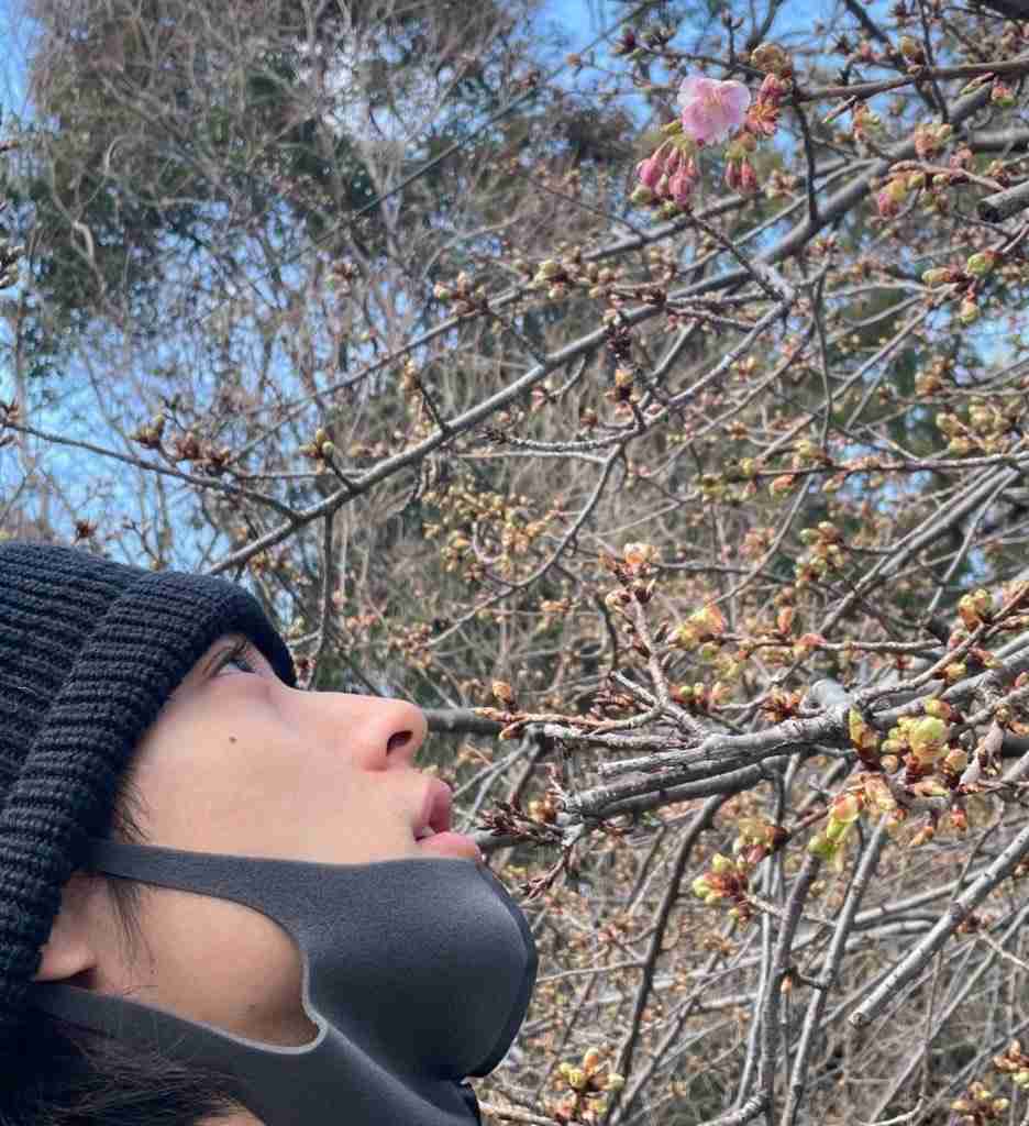 山﨑賢人くん好きな人