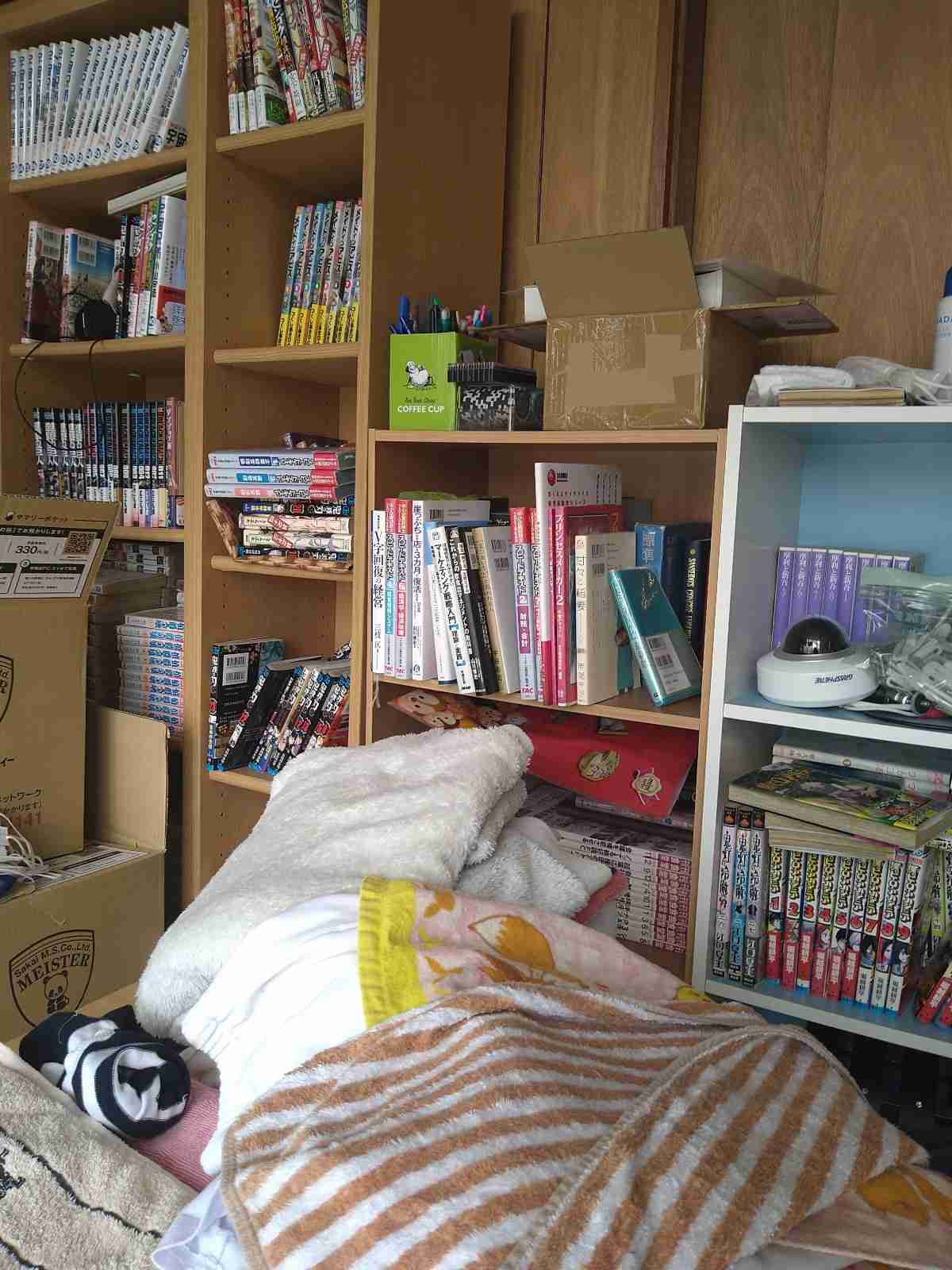 身バレしない程度に汚部屋を晒すトピpart4