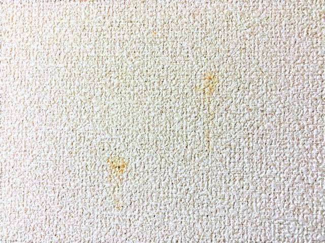 身バレしない程度に汚部屋を晒すトピpart4
