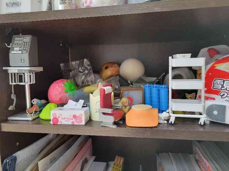 身バレしない程度に汚部屋を晒すトピpart4