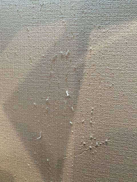 身バレしない程度に汚部屋を晒すトピpart4