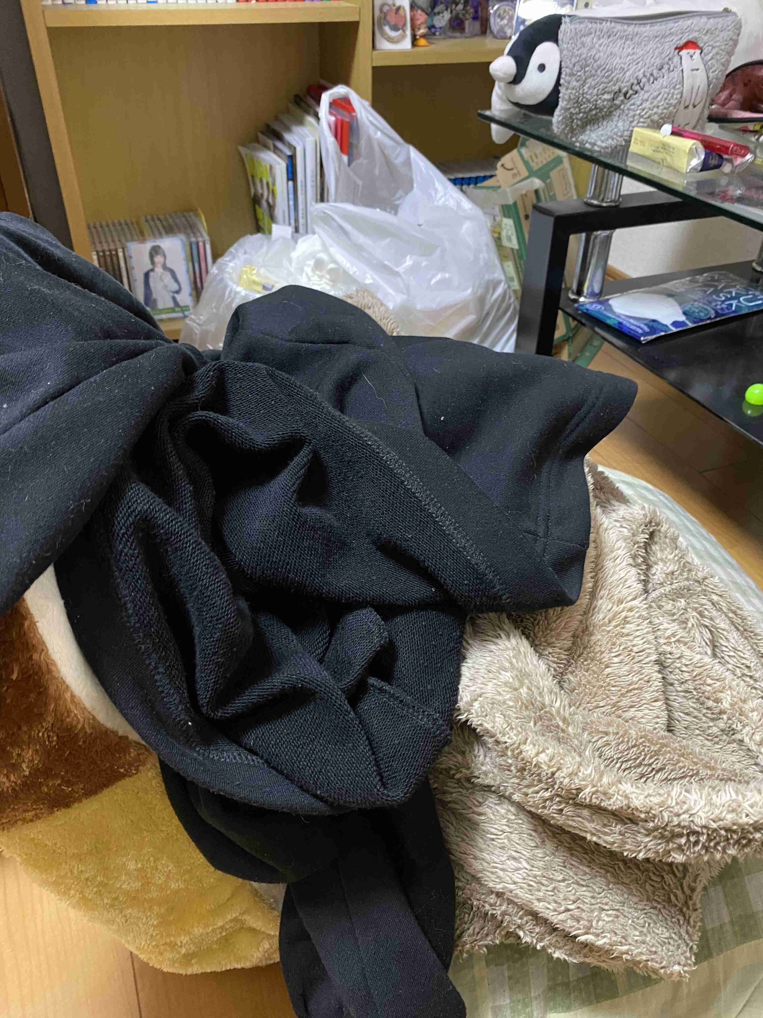 身バレしない程度に汚部屋を晒すトピpart4