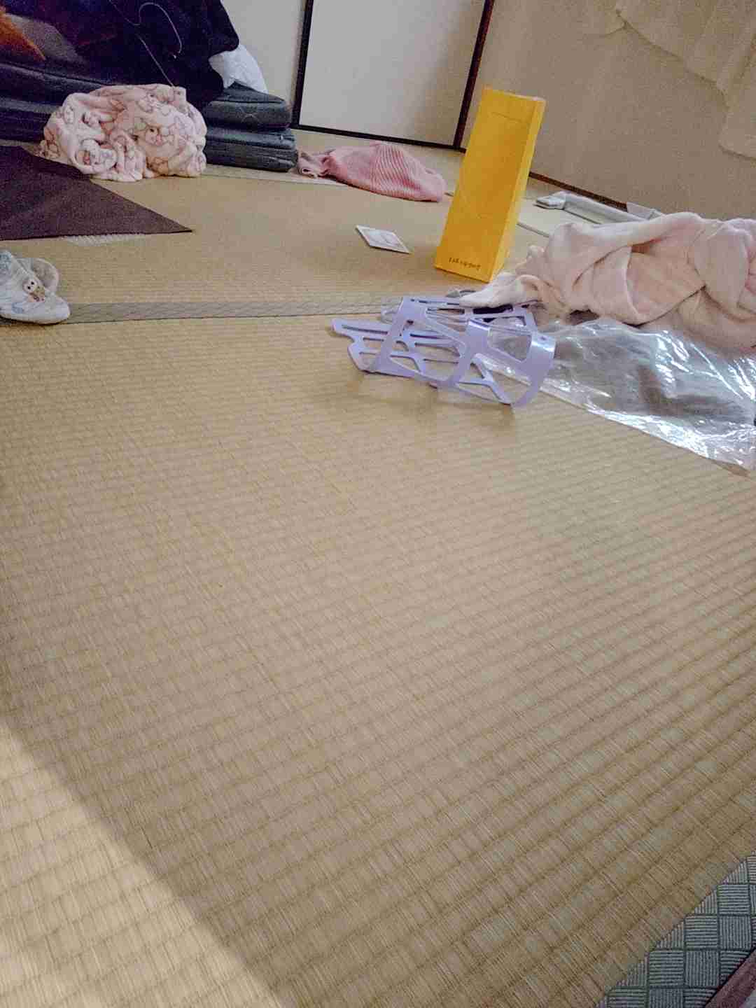 身バレしない程度に汚部屋を晒すトピpart4