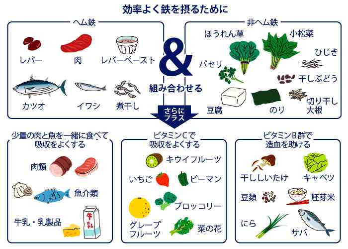 【サプリ禁止】魚介類苦手な人向けの貧血予防食！