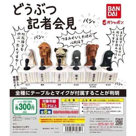 ガチャガチャが好きな人集まれ