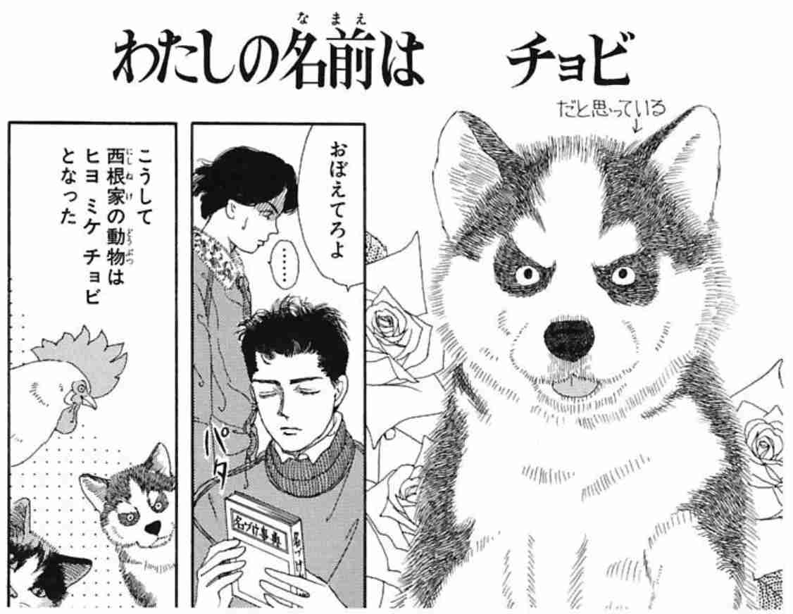 【二次元】漫画・アニメに登場する好きな動物キャラ
