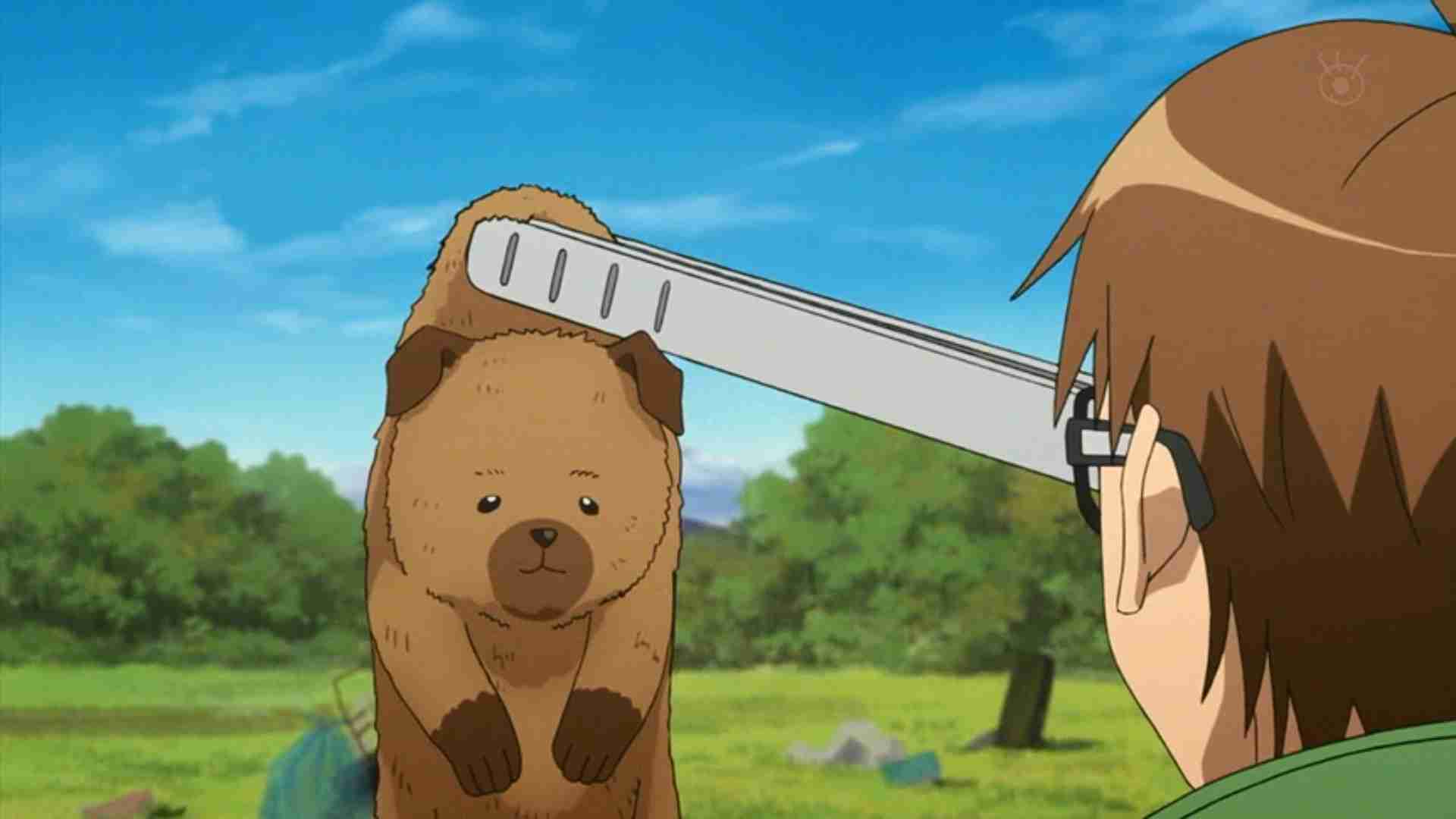 【二次元】漫画・アニメに登場する好きな動物キャラ