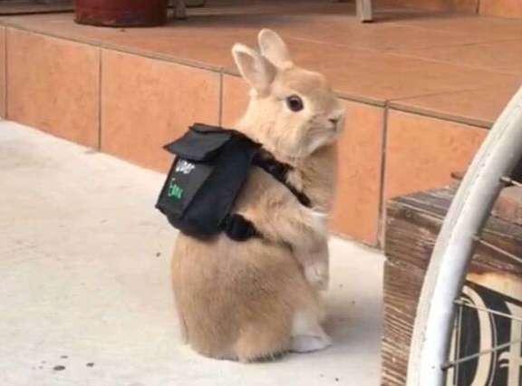 それくらいケチらず買えばいいじゃん…と思った事Part2