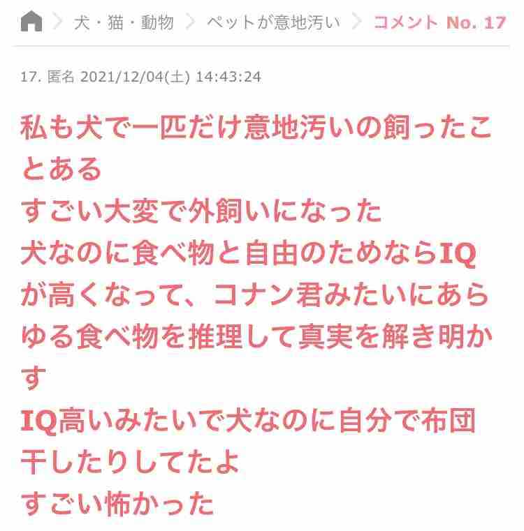 じわじわ来るガルちゃんの投稿part12