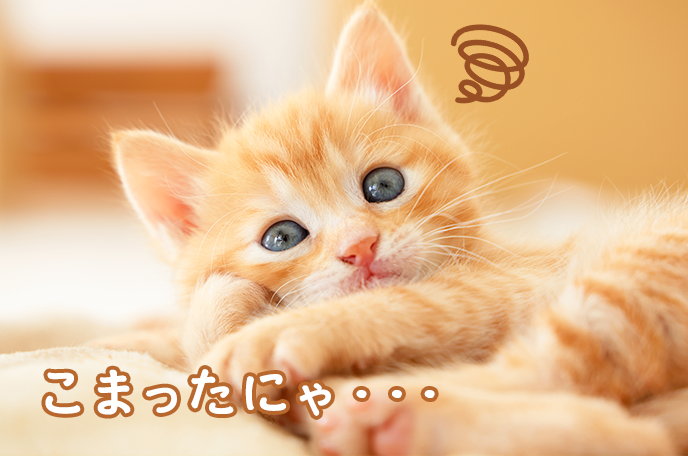 一言でガル民だと思わせてください