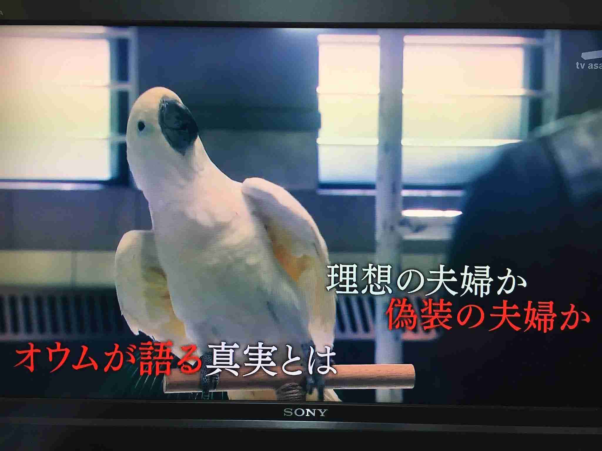 「緊急取調室（キントリ）」を語ろう