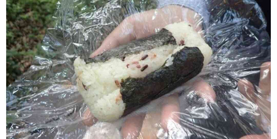 働く女性の貧乏ズボラ弁当part4