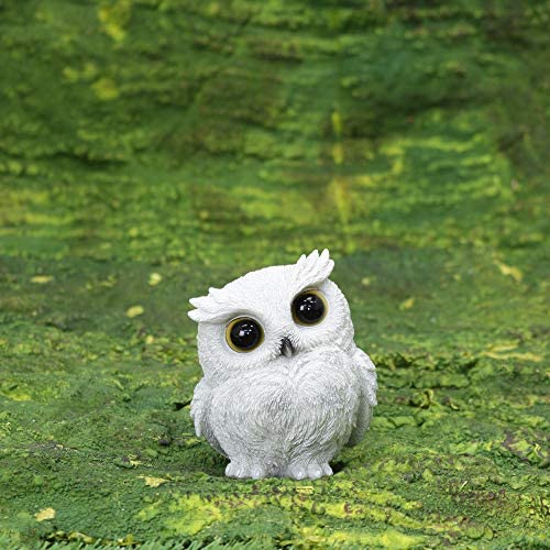 久しぶりにフクロウの画像見たい。